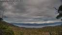 ./images/calvert/fitz-hugh-hecate/20250509/fitz-hugh-hecate20250509_190008M.jpg