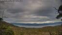 ./images/calvert/fitz-hugh-hecate/20250509/fitz-hugh-hecate20250509_190508M.jpg