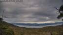 ./images/calvert/fitz-hugh-hecate/20250509/fitz-hugh-hecate20250509_191007M.jpg