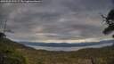 ./images/calvert/fitz-hugh-hecate/20250509/fitz-hugh-hecate20250509_191507M.jpg