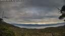 ./images/calvert/fitz-hugh-hecate/20250509/fitz-hugh-hecate20250509_193508M.jpg