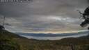 ./images/calvert/fitz-hugh-hecate/20250509/fitz-hugh-hecate20250509_194508M.jpg