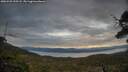 ./images/calvert/fitz-hugh-hecate/20250509/fitz-hugh-hecate20250509_200508M.jpg