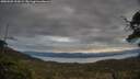 ./images/calvert/fitz-hugh-hecate/20250509/fitz-hugh-hecate20250509_202008M.jpg