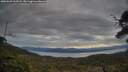./images/calvert/fitz-hugh-hecate/20250509/fitz-hugh-hecate20250509_202507M.jpg
