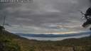 ./images/calvert/fitz-hugh-hecate/20250509/fitz-hugh-hecate20250509_203008M.jpg