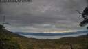 ./images/calvert/fitz-hugh-hecate/20250509/fitz-hugh-hecate20250509_203505M.jpg