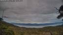 ./images/calvert/fitz-hugh-hecate/20250509/fitz-hugh-hecate20250509_205506M.jpg