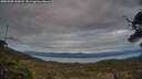 ./images/calvert/fitz-hugh-hecate/20250509/fitz-hugh-hecate20250509_210008M.jpg
