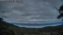 ./images/calvert/fitz-hugh-hecate/20250509/fitz-hugh-hecate20250509_212508M.jpg