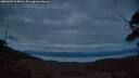 ./images/calvert/fitz-hugh-hecate/20250509/fitz-hugh-hecate20250509_214008M.jpg