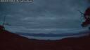 ./images/calvert/fitz-hugh-hecate/20250509/fitz-hugh-hecate20250509_215007M.jpg