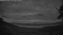 ./images/calvert/fitz-hugh-hecate/20250509/fitz-hugh-hecate20250509_215508M.jpg