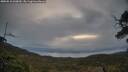 ./images/calvert/fitz-hugh-hecate/20250510/fitz-hugh-hecate20250510_060010M.jpg