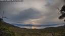./images/calvert/fitz-hugh-hecate/20250510/fitz-hugh-hecate20250510_063010M.jpg
