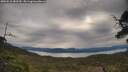 ./images/calvert/fitz-hugh-hecate/20250510/fitz-hugh-hecate20250510_083510M.jpg