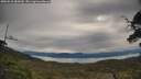 ./images/calvert/fitz-hugh-hecate/20250510/fitz-hugh-hecate20250510_084510M.jpg