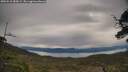 ./images/calvert/fitz-hugh-hecate/20250510/fitz-hugh-hecate20250510_085008M.jpg
