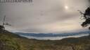 ./images/calvert/fitz-hugh-hecate/20250510/fitz-hugh-hecate20250510_091008M.jpg