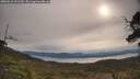 ./images/calvert/fitz-hugh-hecate/20250510/fitz-hugh-hecate20250510_091510M.jpg