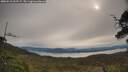./images/calvert/fitz-hugh-hecate/20250510/fitz-hugh-hecate20250510_092507M.jpg