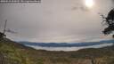 ./images/calvert/fitz-hugh-hecate/20250510/fitz-hugh-hecate20250510_094510M.jpg