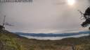 ./images/calvert/fitz-hugh-hecate/20250510/fitz-hugh-hecate20250510_095010M.jpg