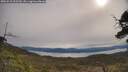 ./images/calvert/fitz-hugh-hecate/20250510/fitz-hugh-hecate20250510_095510M.jpg