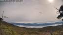 ./images/calvert/fitz-hugh-hecate/20250510/fitz-hugh-hecate20250510_100509M.jpg