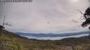 ./images/calvert/fitz-hugh-hecate/20250510/fitz-hugh-hecate20250510_102508M.jpg