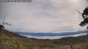 ./images/calvert/fitz-hugh-hecate/20250510/fitz-hugh-hecate20250510_103010M.jpg