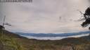 ./images/calvert/fitz-hugh-hecate/20250510/fitz-hugh-hecate20250510_103509M.jpg