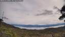 ./images/calvert/fitz-hugh-hecate/20250510/fitz-hugh-hecate20250510_104010M.jpg