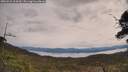 ./images/calvert/fitz-hugh-hecate/20250510/fitz-hugh-hecate20250510_104510M.jpg