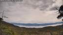 ./images/calvert/fitz-hugh-hecate/20250510/fitz-hugh-hecate20250510_105010M.jpg