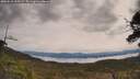 ./images/calvert/fitz-hugh-hecate/20250510/fitz-hugh-hecate20250510_105509M.jpg