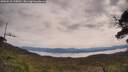 ./images/calvert/fitz-hugh-hecate/20250510/fitz-hugh-hecate20250510_110011M.jpg
