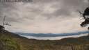 ./images/calvert/fitz-hugh-hecate/20250510/fitz-hugh-hecate20250510_110509M.jpg