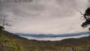 ./images/calvert/fitz-hugh-hecate/20250510/fitz-hugh-hecate20250510_111010M.jpg