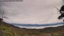 ./images/calvert/fitz-hugh-hecate/20250510/fitz-hugh-hecate20250510_111509M.jpg