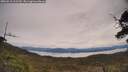 ./images/calvert/fitz-hugh-hecate/20250510/fitz-hugh-hecate20250510_112510M.jpg