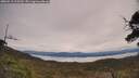 ./images/calvert/fitz-hugh-hecate/20250510/fitz-hugh-hecate20250510_113510M.jpg