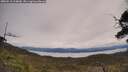 ./images/calvert/fitz-hugh-hecate/20250510/fitz-hugh-hecate20250510_114010M.jpg