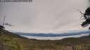 ./images/calvert/fitz-hugh-hecate/20250510/fitz-hugh-hecate20250510_114510M.jpg