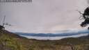 ./images/calvert/fitz-hugh-hecate/20250510/fitz-hugh-hecate20250510_115509M.jpg