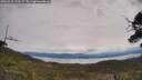 ./images/calvert/fitz-hugh-hecate/20250510/fitz-hugh-hecate20250510_120507M.jpg
