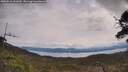 ./images/calvert/fitz-hugh-hecate/20250510/fitz-hugh-hecate20250510_121010M.jpg
