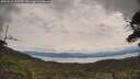 ./images/calvert/fitz-hugh-hecate/20250510/fitz-hugh-hecate20250510_121510M.jpg