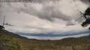 ./images/calvert/fitz-hugh-hecate/20250510/fitz-hugh-hecate20250510_130010M.jpg