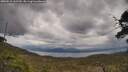 ./images/calvert/fitz-hugh-hecate/20250510/fitz-hugh-hecate20250510_132509M.jpg